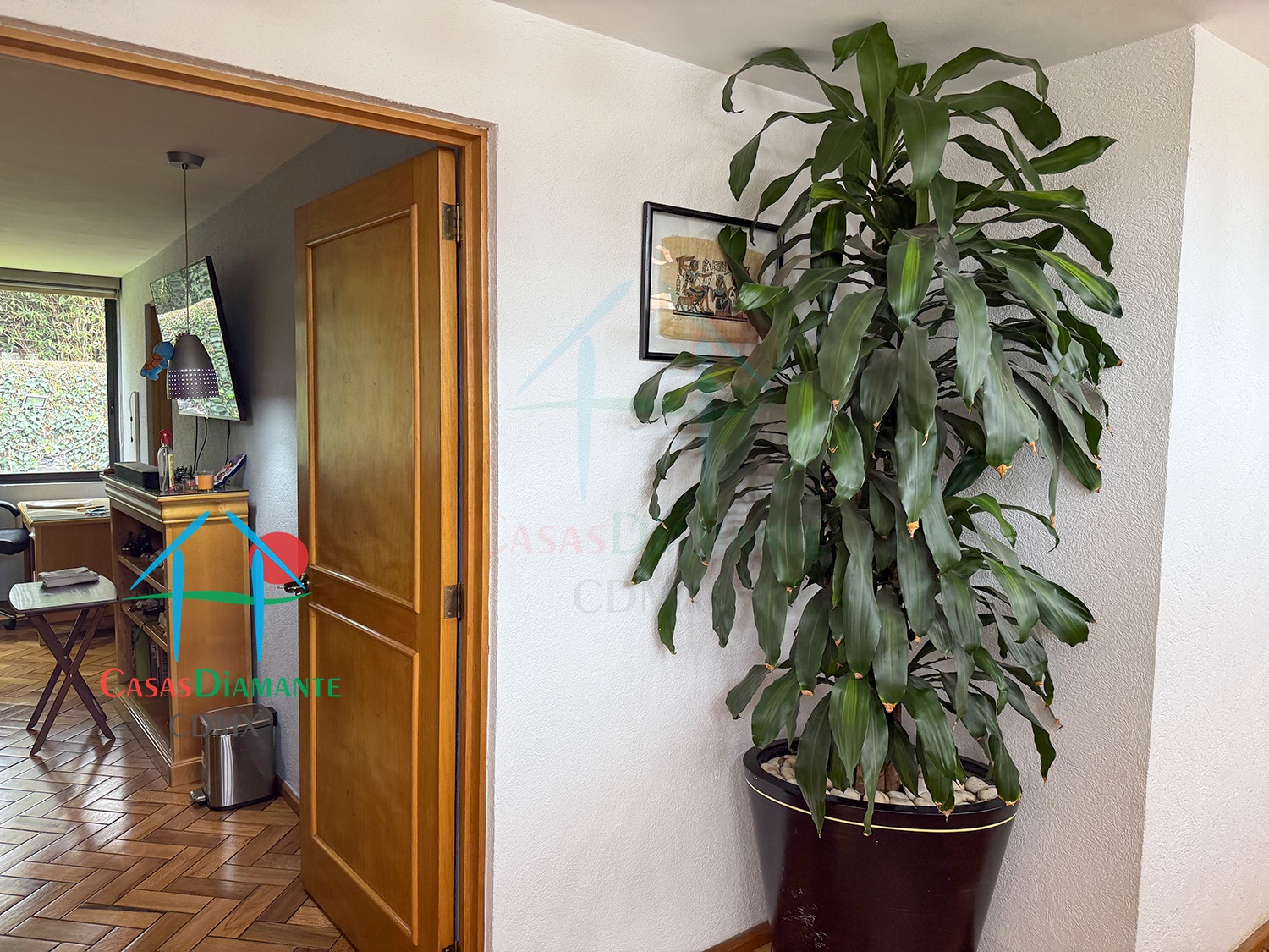 Jardines del Pedregal Casa Alan ACJ - Recámara dos 3